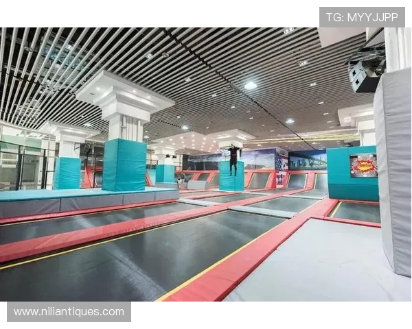 爱游戏体育app官方登录入口，轻松开启你的专属体育娱乐之旅